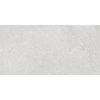 Dublin 30x60 Grey Gloss 1