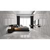 Esprit 60x60 Ice Polished 2