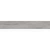 Forest 122x23x0.55 Galileo Light Grey Matt R10 1
