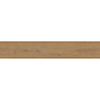 Forest 122x23x0.55 Honey Oak Matt R10 1