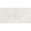 Portland One 60x120 Bianco Matt R10 1