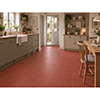 Quarry 20x20 Spanish Red Matt 2
