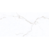 Trevi New 30x60 White Gloss
