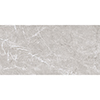 Vienna 29.5x59.5 Taupe Matt R9