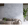 Vienna 29.5x59.5 Light Grey Matt R9 3