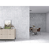 Vienna 59.5x59.5 Light Grey Matt R9 2